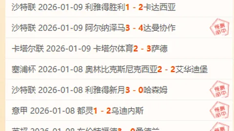 加拉塔萨雷教练因不当言论被控损害足球声誉
