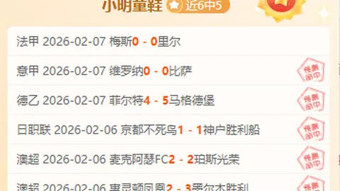 夏日激情，哈马2025璀璨启幕——哈尔滨马拉松激情奔跑