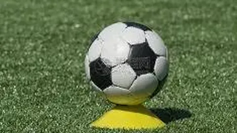 “广州队解散引发外媒聚焦：剖析中国足球挑战，转会费弊端引争议”